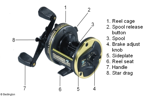 Japanese with new 25lb braid RARE Exceptional Shimano TLD 5 Multiplier Sea Reel 