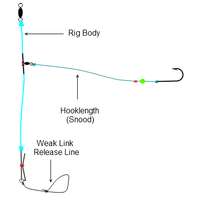 Asso NEW Ultraflex Rig Body Shockleader Sea Fishing Line 4oz Spool All Sizes 
