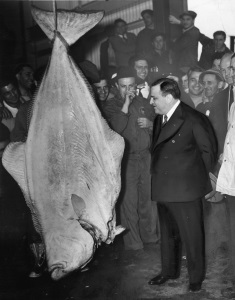 Fiorello LaGuardia with halibut