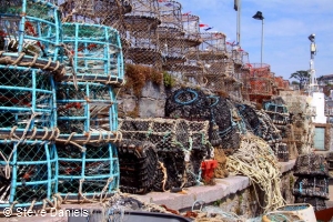 Lobster and crab pots in Brixham