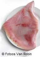 Uncooked Skate Wing