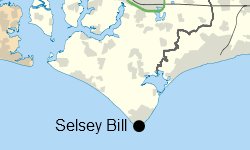Selsey Bill