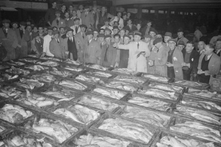 Fish Auction Grimsby, Lincolnshire, England