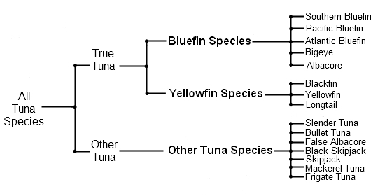 Tuna Groups