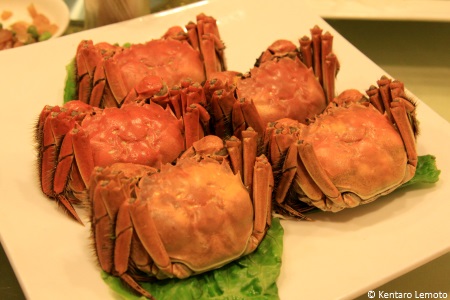 Chinese mitten crabs for human consumption