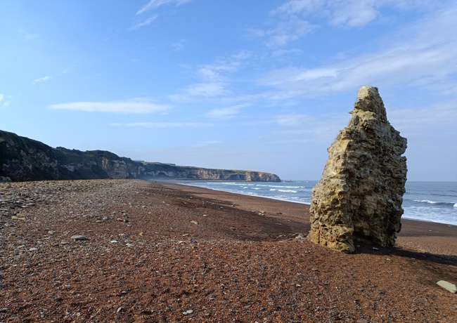 Durham Coast